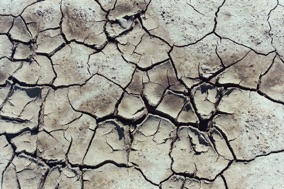 Cracked Earth